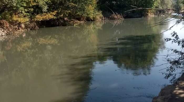 У річці Сейм на Сумщині зафіксоване нове погіршення якості води