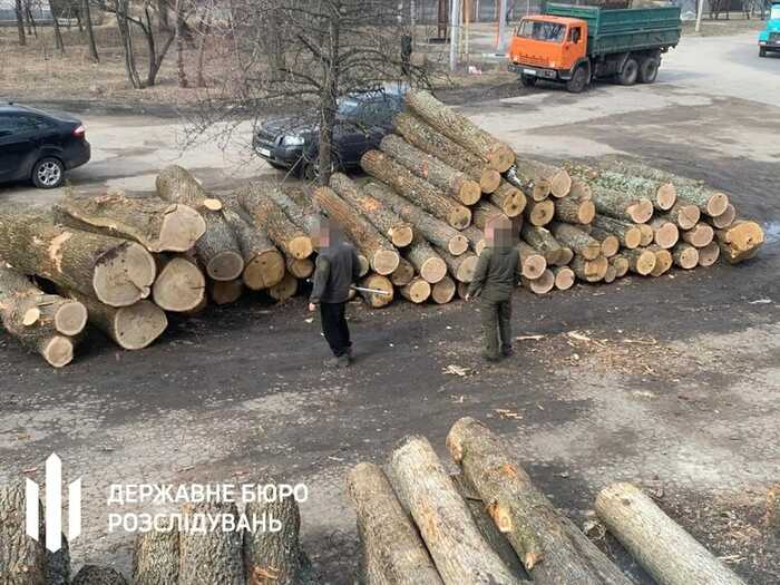 На Сумщині судитимуть посадовців лісгоспу за махінації з деревиною на 11 мільйонів гривень