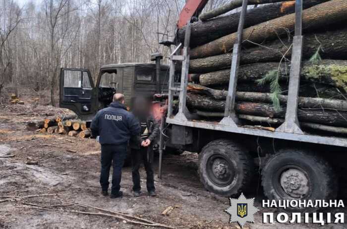 На Київщині викрили групу злочинців, які організували незаконну порубку лісу на мільйон