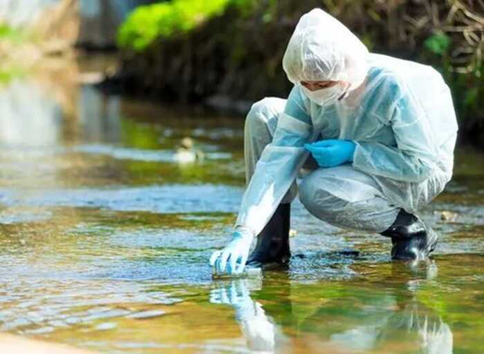 Як знищуються українські водойми: на Полтавщині бізнесмен забруднює річку Псел з дозволу держави?