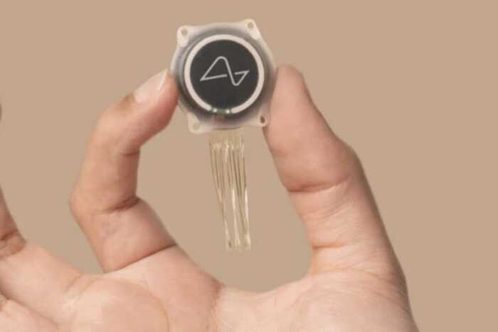 Neuralink Маска розпочинає перші тестування мозкових імплантатів в Європі
